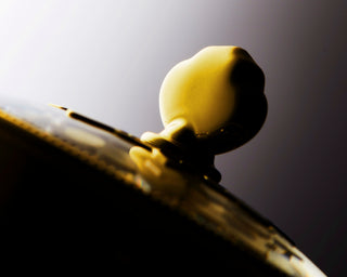 GLASS SKIN (Snail Mucin)